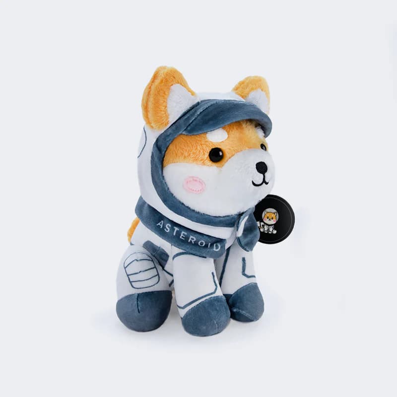 Baby Asteroid plush: Hooded · front
